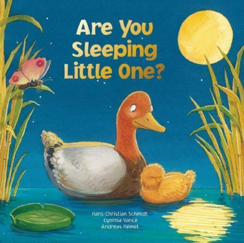 Are You Sleeping Little One by Hans-Christian Schmidt (2012, Board Book)