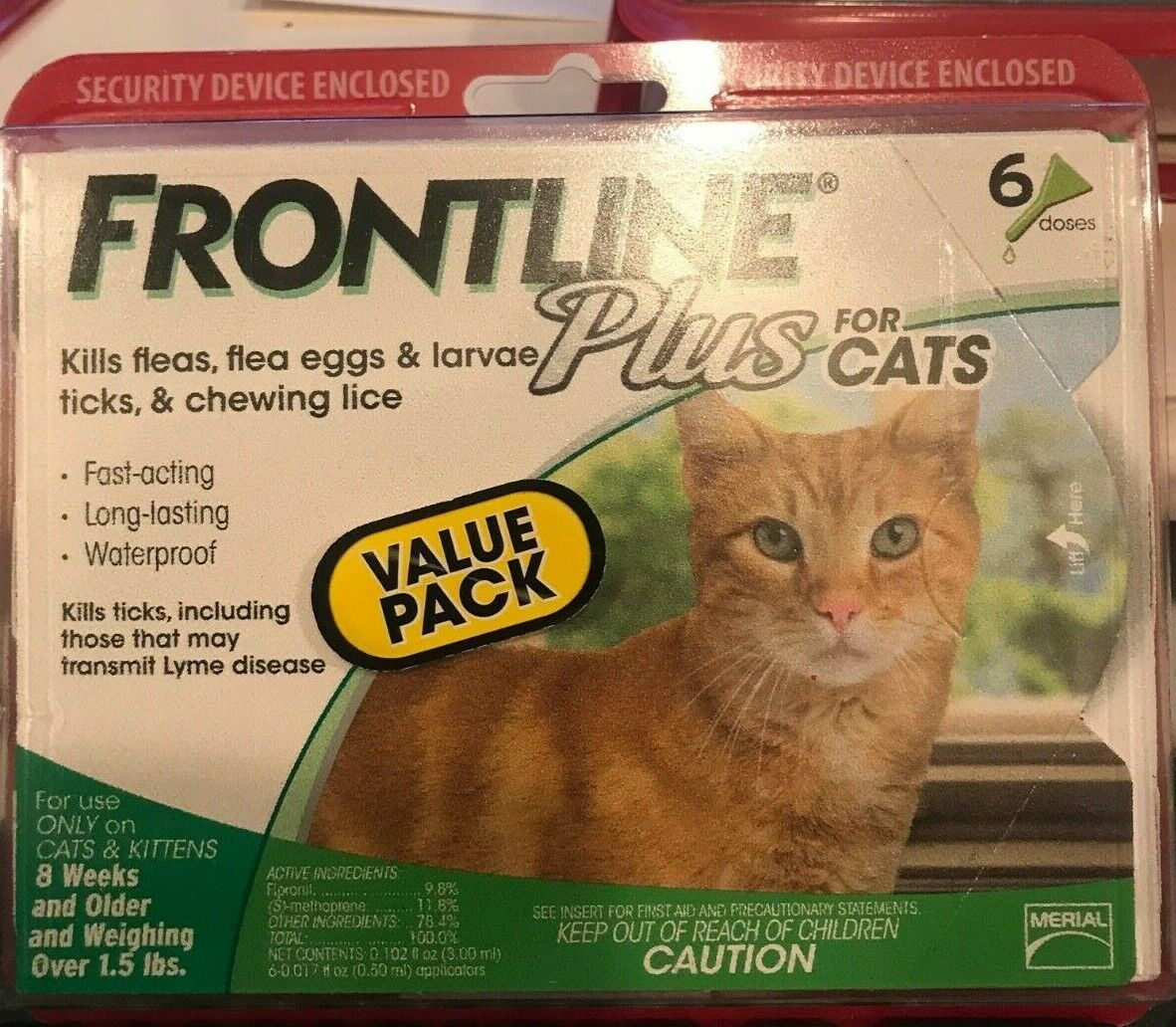 Frontline Plus for CATS 8 WEEKS  6 Doses GENUINE FACTORY SEALED 