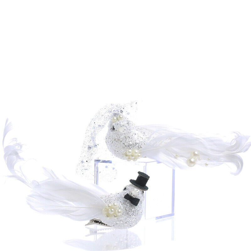 Lovely Pair of Glitzy Glittered Dressed Bride and Groom Doves