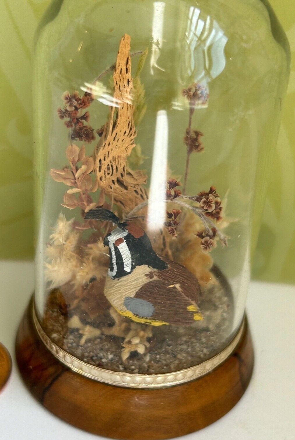 vtg Doll House TERRARIUM glass dome bird pheasant taxidermy miniature antique