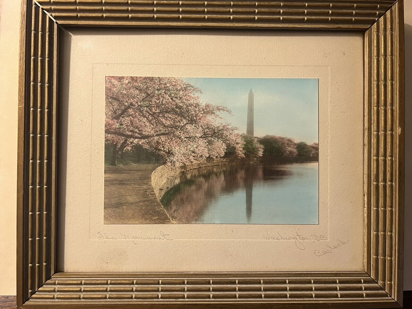 Rare Royal A. Carlock signed Framed Photograph - National Monument Cherry Trees