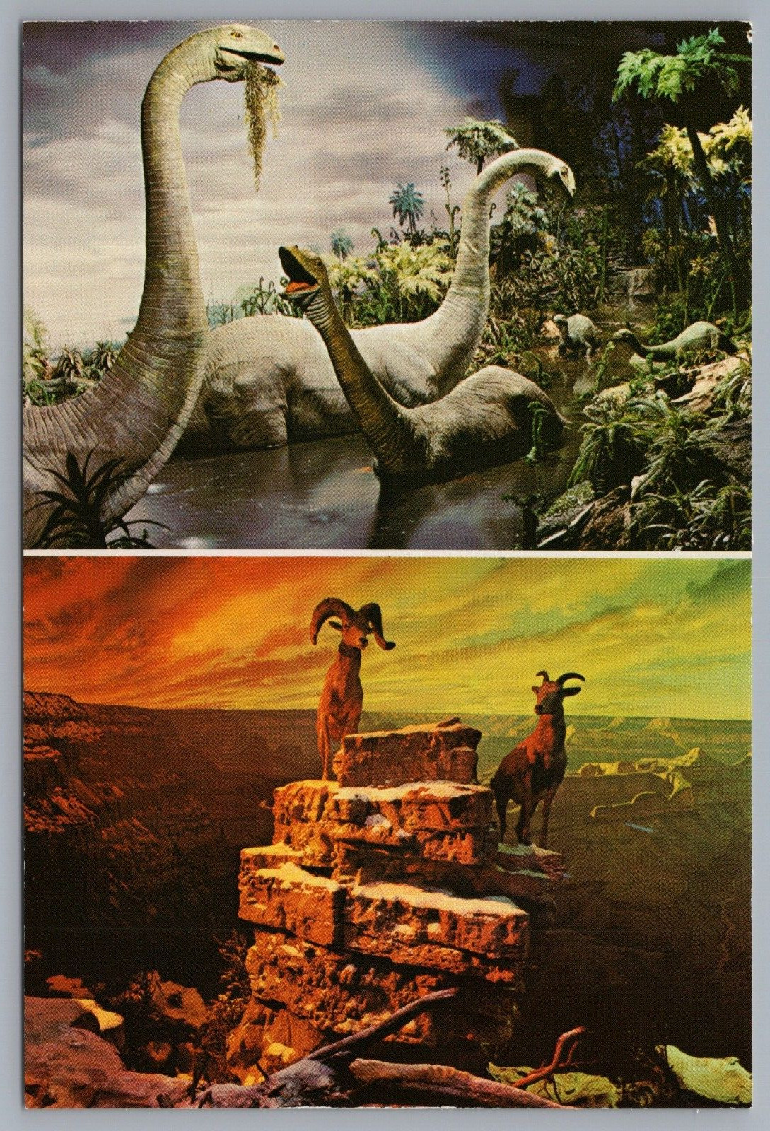 Disneyland Multi-View Dinosaurs Bighorn Sheep Grand Canyon Diorama 4x6 Postcard