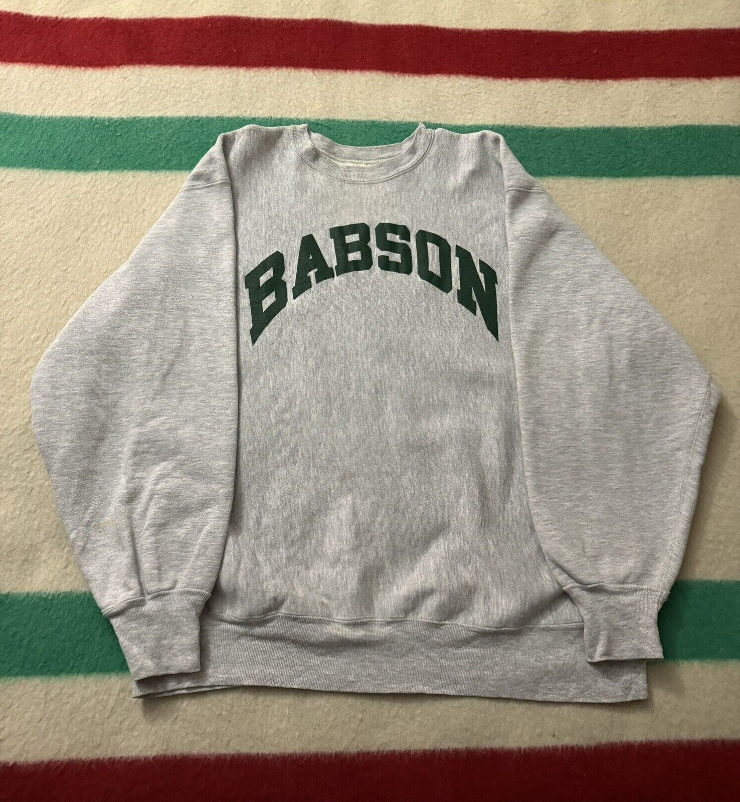 Vintage 80s 90s Champion Reverse Weave Babson Sweater Large L Ivy League Mass MA