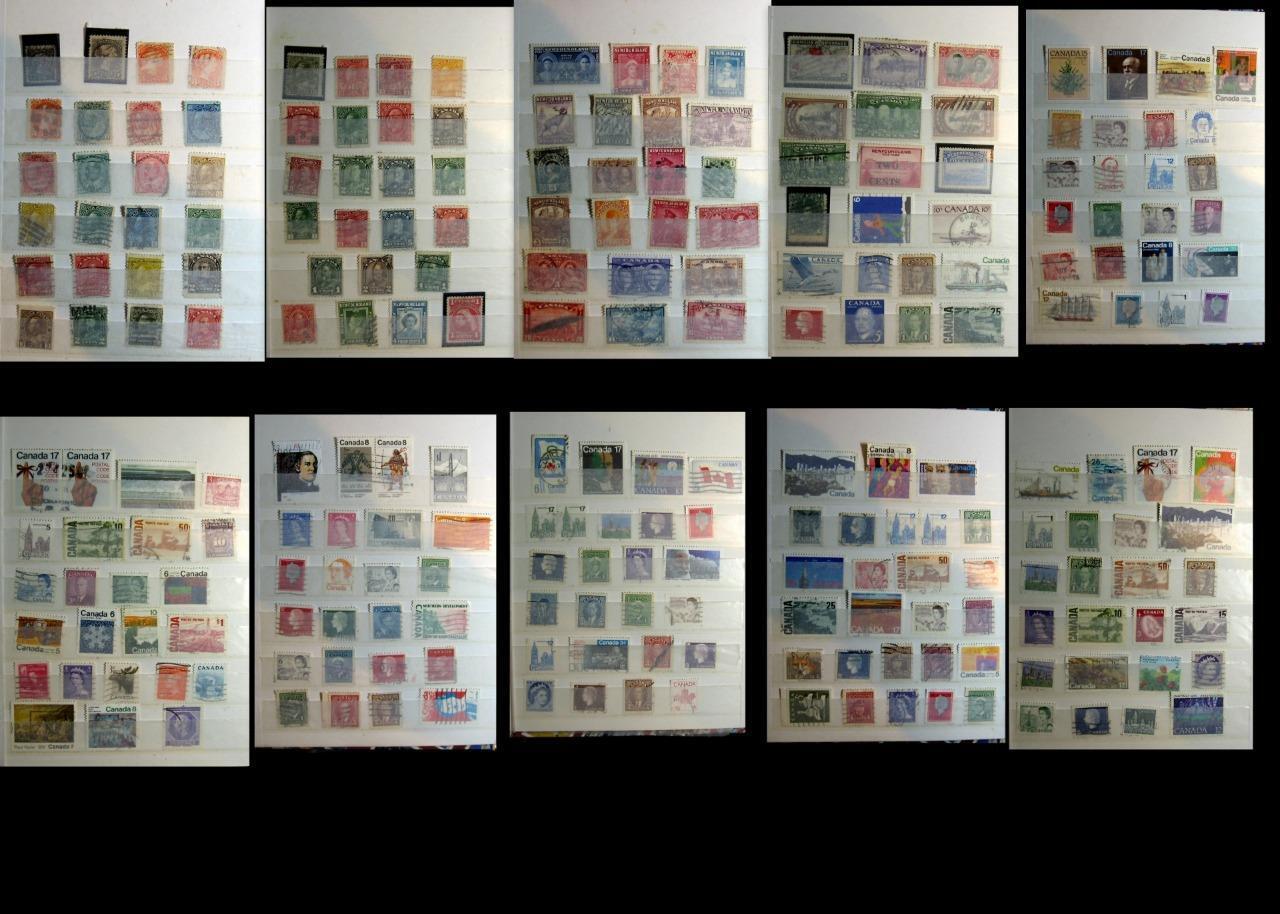 A Great Stamp Collection From Canada & Newfoundland -  Worldwide