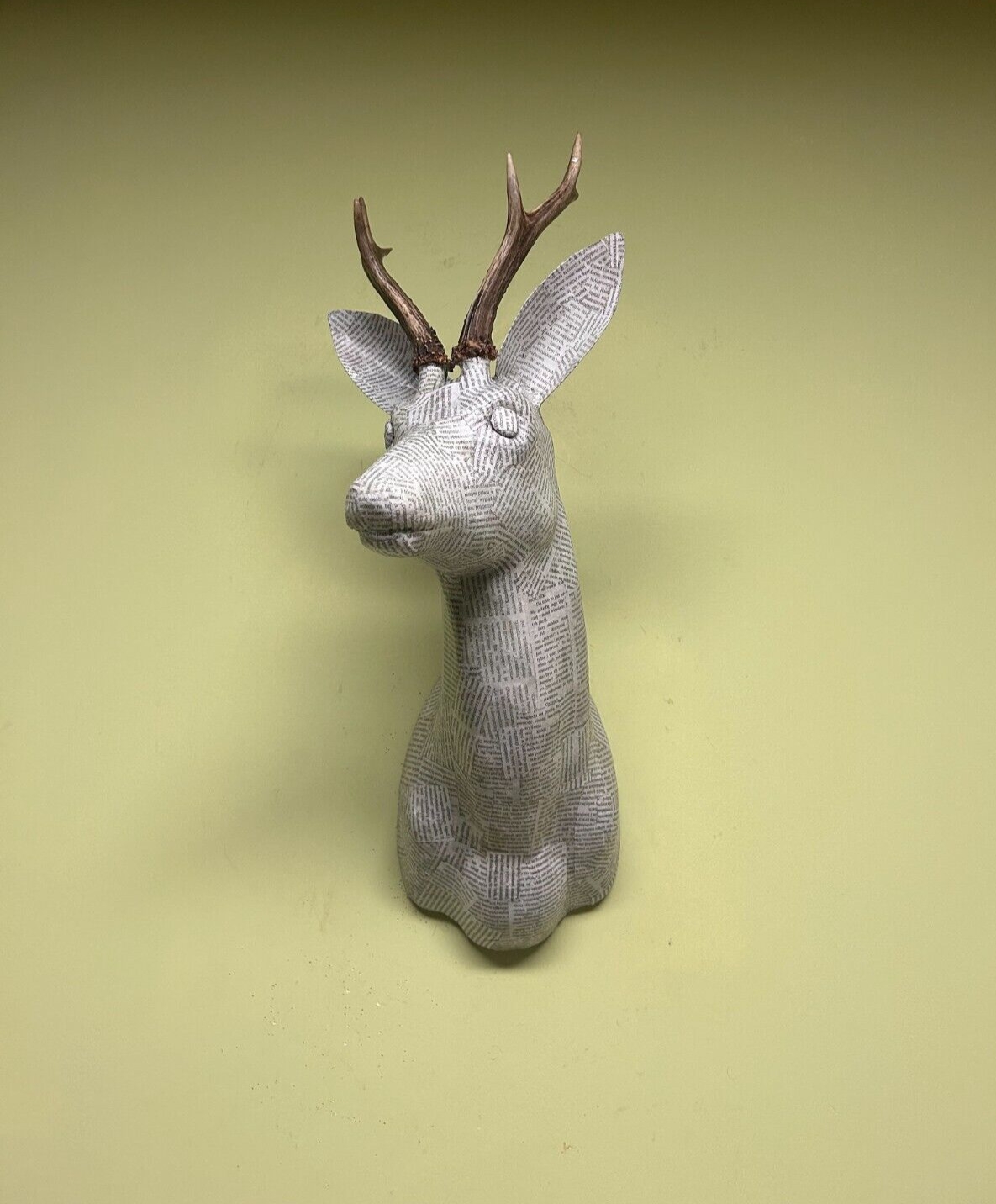 Roe deer head, Taxidermy, throphies