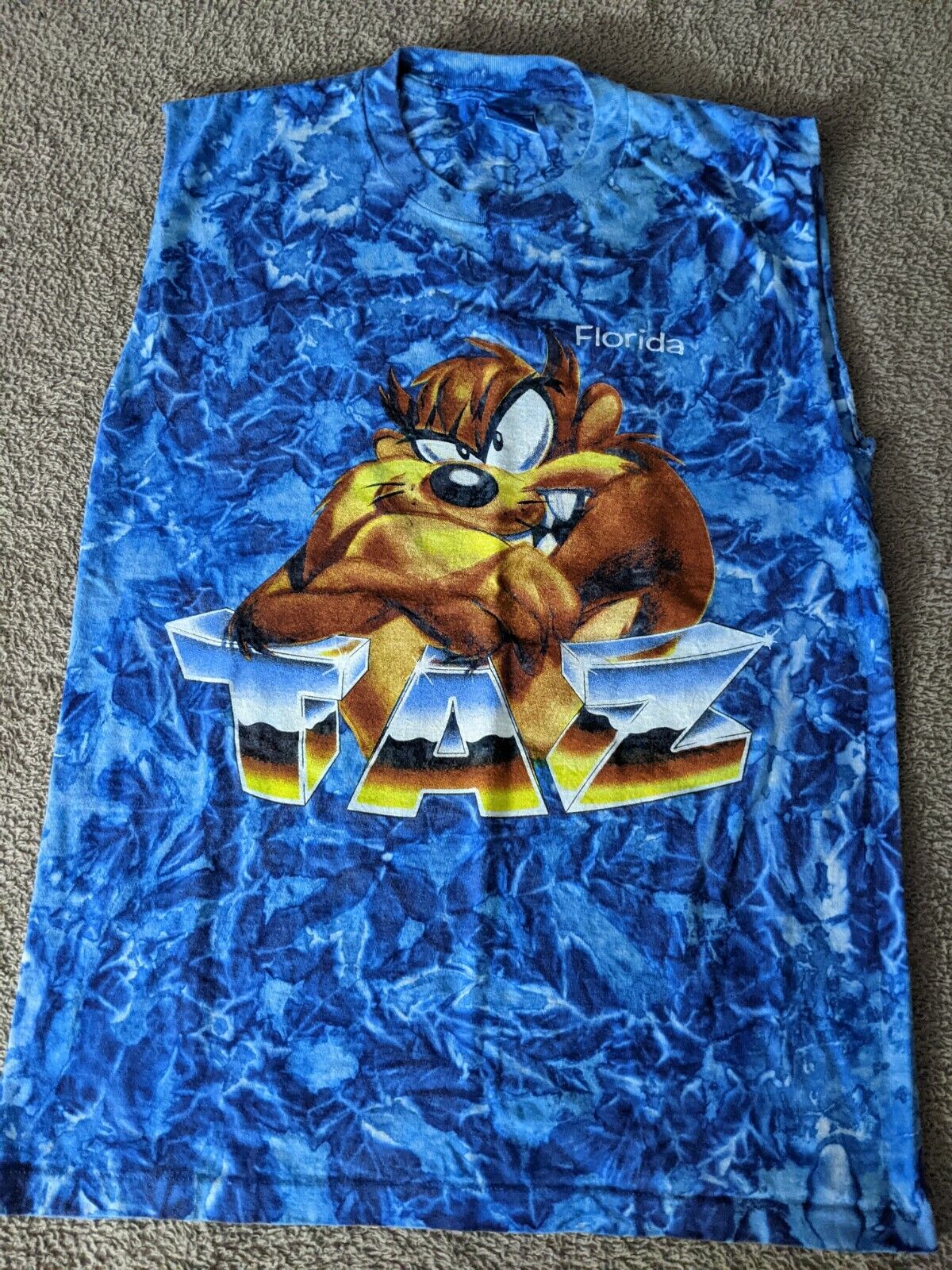 Vintage 1990\'s Florida Taz Tasmanian Devil Looney Tunes Shirt Tye Dye (L211)