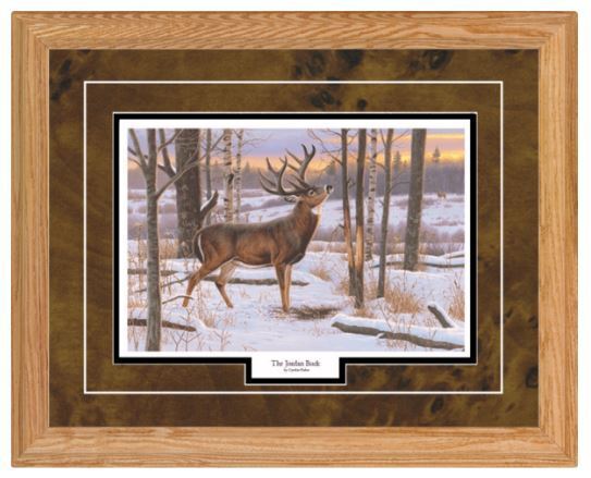 THE JORDAN BUCK by Cynthie Fisher Deer Buck Print-Framed 21 x 17