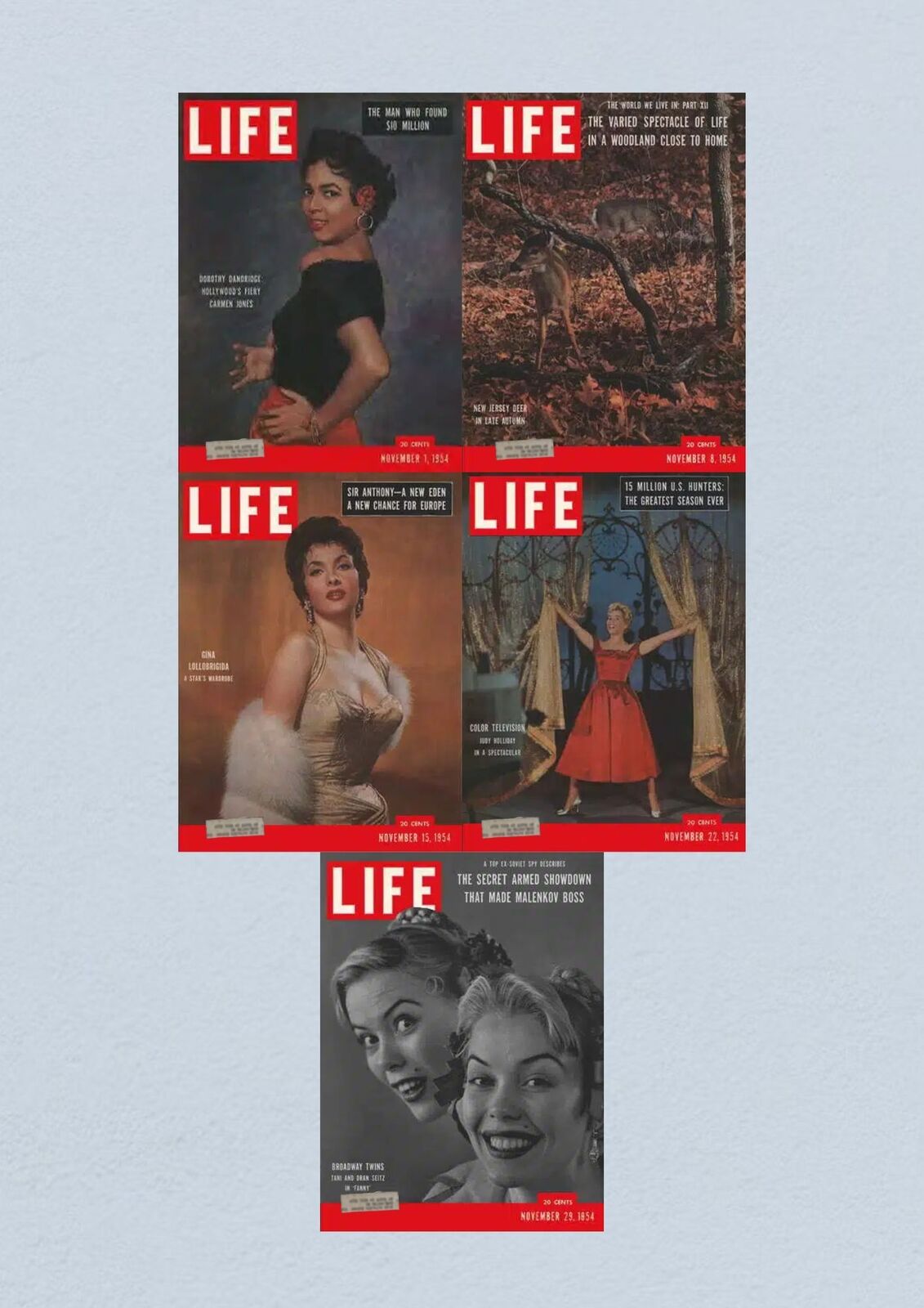 Life Magazine Lot of 5 Full Month November 1954 1, 8, 15, 22,29 Civil Rights ERA