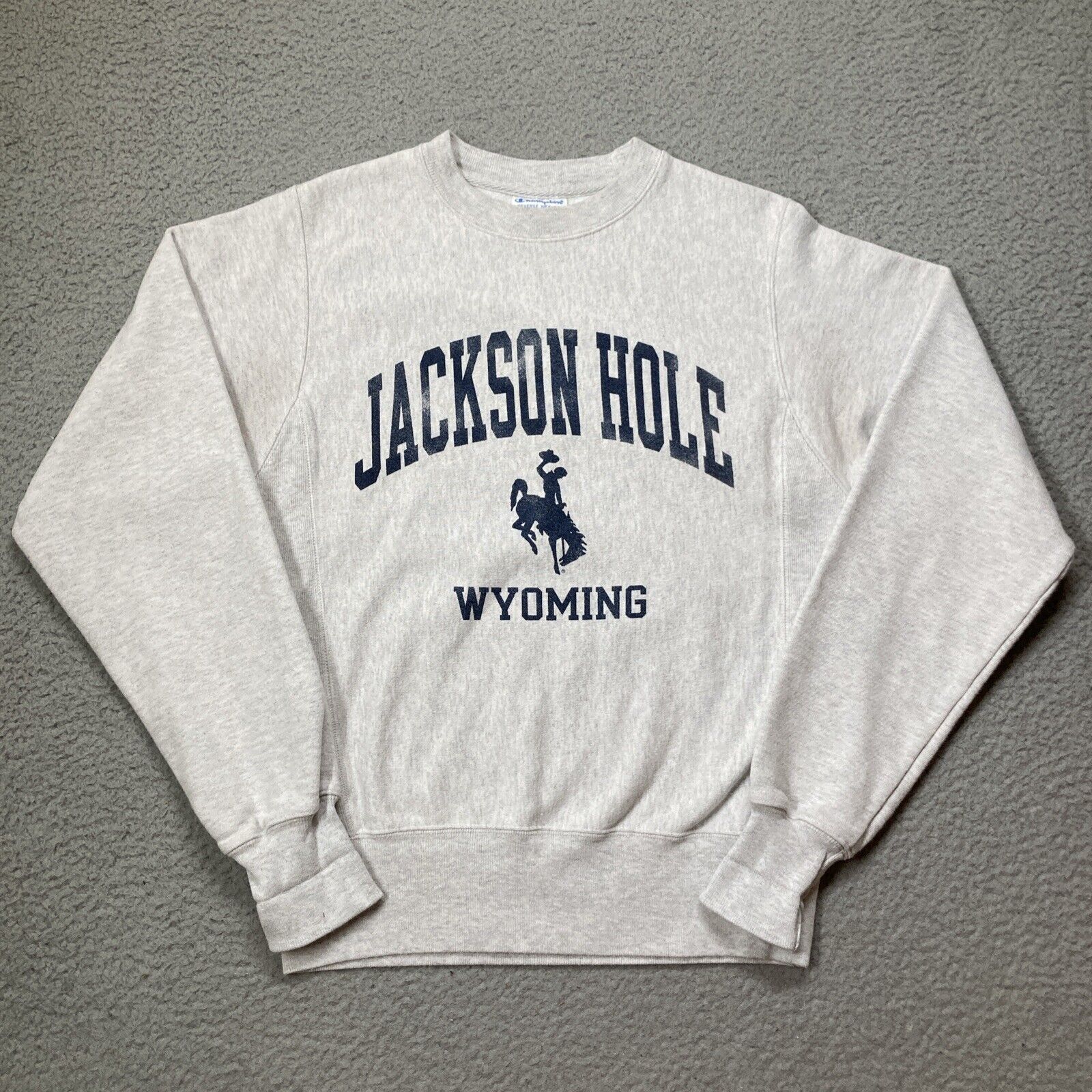 VINTAGE Jackson Hole Wyoming Champion Reverse Weave Sweatshirt XS Light Gray