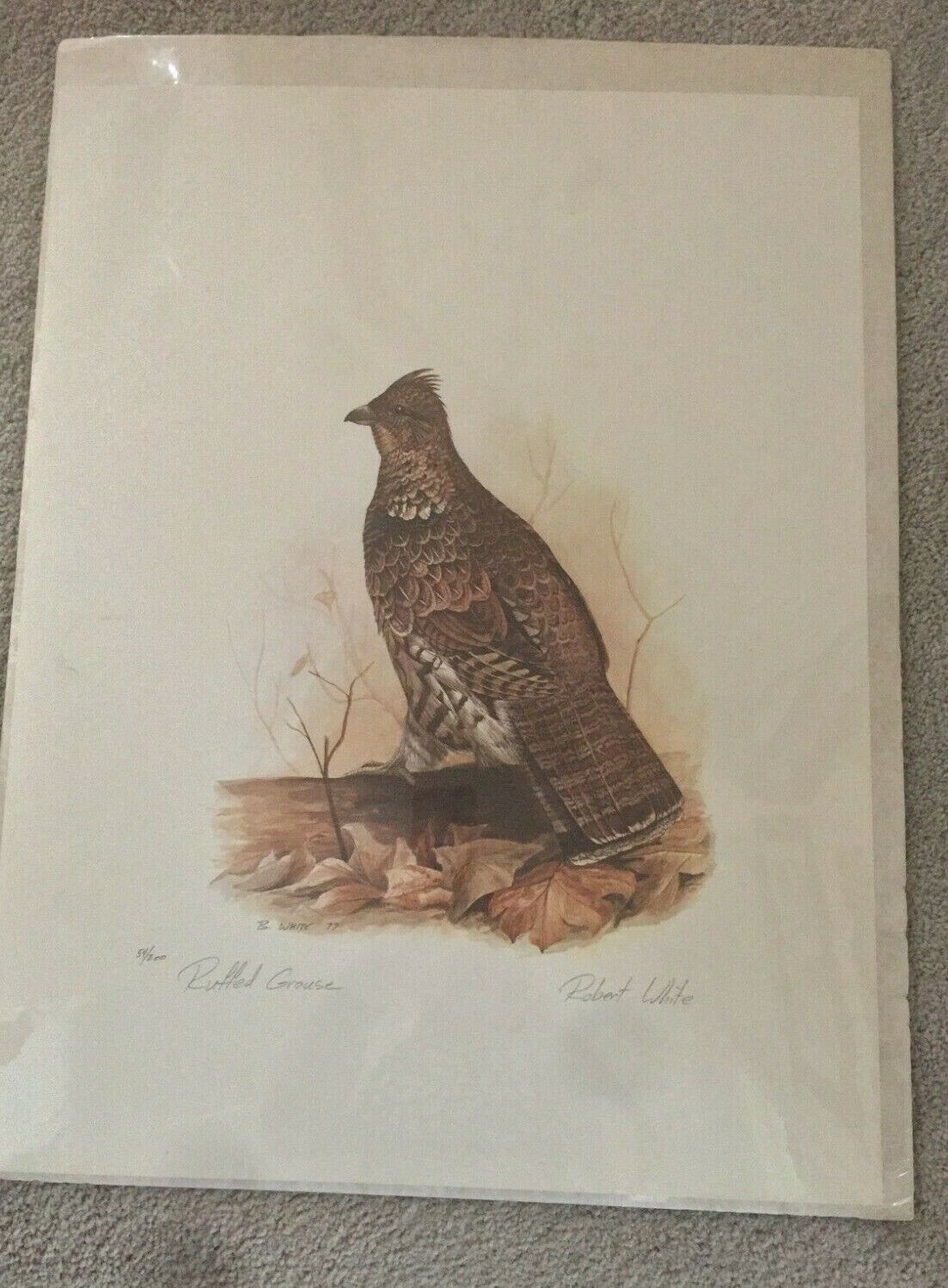Ruffed Grouse, Robert White, Autographed Lithograph, LE 54/200
