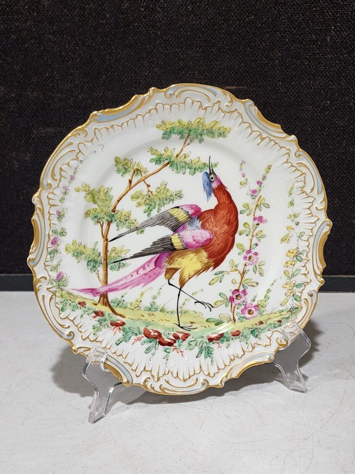 Antique 18TH C. Chelsea Porcelain Hand Painted Exotic Bird 9\