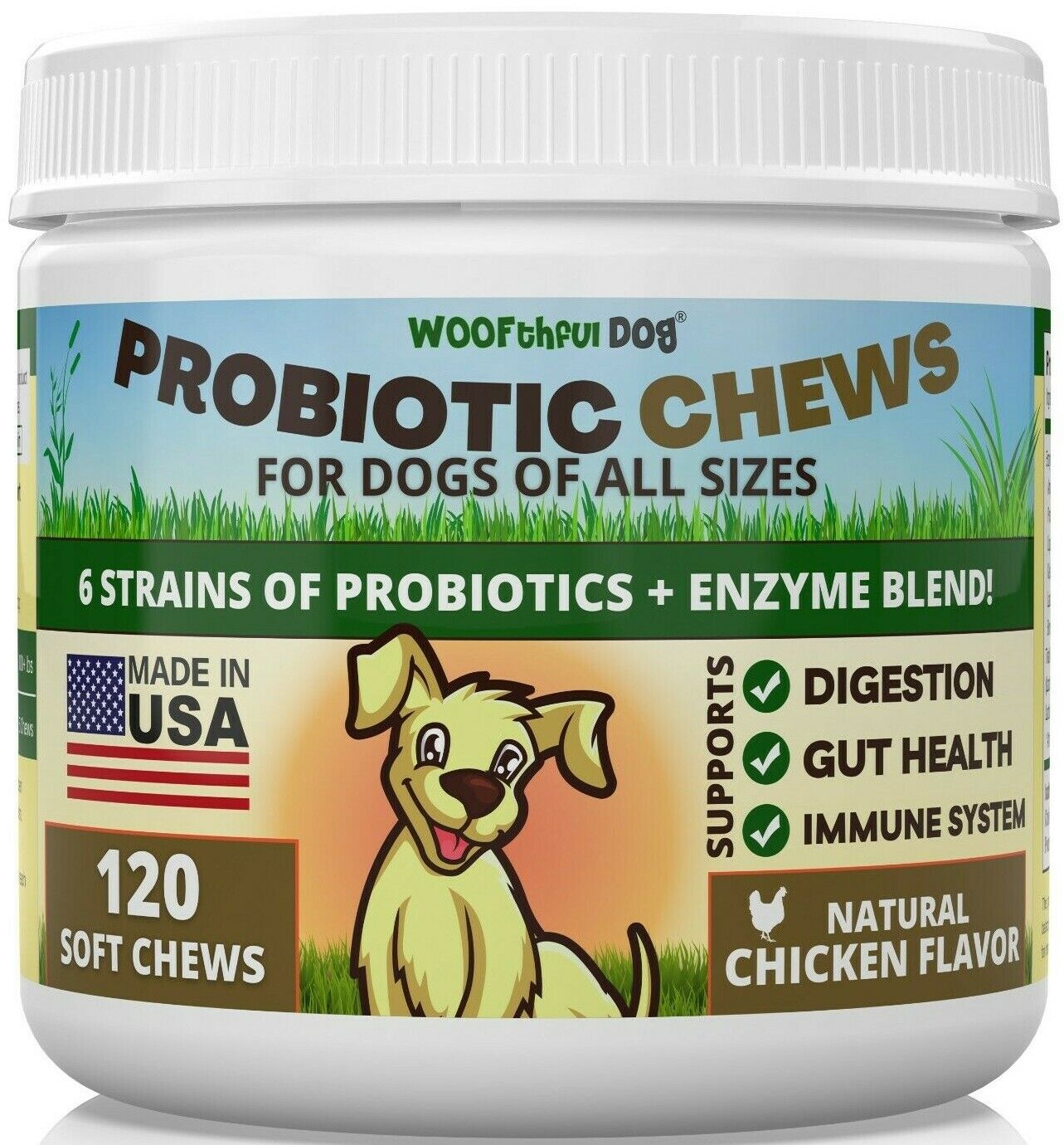 Probiotic For Dogs - 6 Strains of Probiotics + Enzyme Blend Made USA