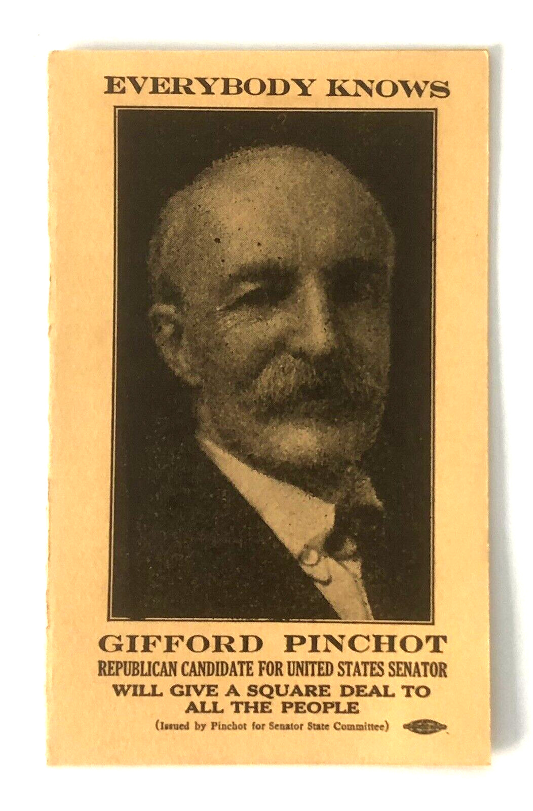VINTAGE RARE HTF 1926 GIFFORD PINCHOT PROMOTIONAL BOOKLET FOR SENATOR PA VS VARE