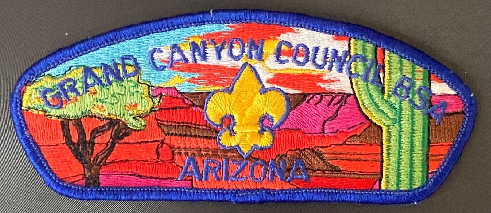Grand Canyon Council BSA S3 CSP Plastic Back Used