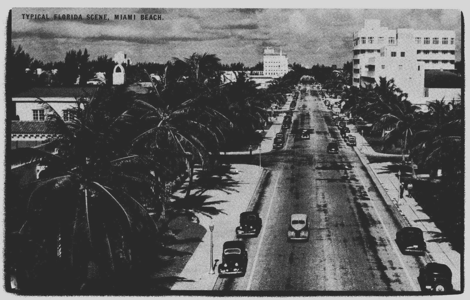 Miami Beach Florida Scene Street View Old Cars Conoco c1930's Printed Postcard