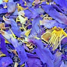 1 oz All Natural Blue Lotus, N. caerulea, Deep Purple Thai™ ~ Schmerbals Herbals picture