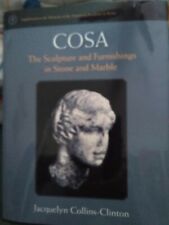 COSA: The Sculpture and Furnishings in Stone and Marble (Archaeology Excavation) picture