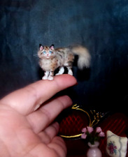 Artisan Mainecoon Cat miniature OOAK 1:12 dollhouse realistic handmade IGM picture