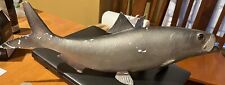 Vintage Taxidermy Fish Mount W/ Wall Hanger/shelf Stand Attached picture