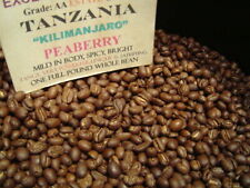 TANZANIAN KILIMANJARO COFFEE BEANS PEABERRY MEDIUM ROAST 2 POUNDS picture