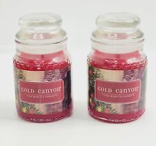New Gold Canyon Heritage Cozy Christmas X2 Jar Candles 5oz picture