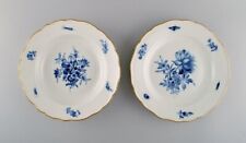 Two antique Meissen porcelain plates with hand-painted flowers and gold edge. picture