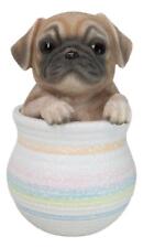 Realistic Puggy Pug Puppy Dog Figurine With Glass Eyes Pup In Pot Collection picture