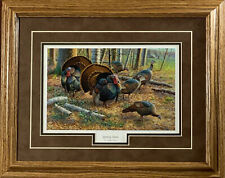 Cynthie Fisher Spring Strut Wild Turkey Art Print-Framed Oak-21 x 17 picture