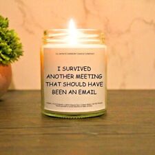 I Survived Another Meeting That Should Have Been An Email Candle Funny Joke Gift picture