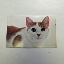 Vintage Cute Cat Pro Adoption Postcard picture