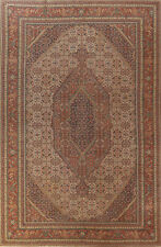Pre-1900 Vegetable Dye Tebriz Antique Rug 9x13 Wool Hand-made Traditional Carpet picture
