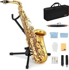 🎷Eastar Alto Saxophone E Flat F Key Gold Lacquered Student School Band Alto Sax picture