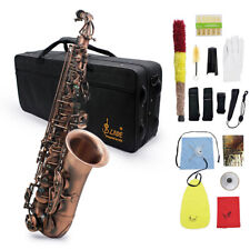 Alto Saxophone Antique Red Bronze Eb E-flat Sax W/ Mouthpiece Carrying Case N5Y4 picture