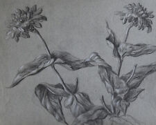 Louis Dupuis (1862-1951) (217) - charcoal - flowers picture