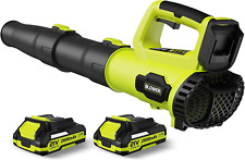 21V Cordless Leaf Blower - with (2) 2.0Ah Batteries & Charger, Lightweight, LP69 picture