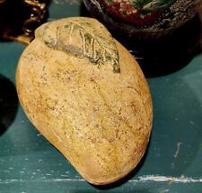Large Vintage Terra Cotta Yellow Fruit Beautifully Aged 3.5 Inches picture