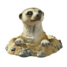 MEERKAT OUT OF HOLE picture