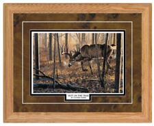 HOT ON THE TRAIL by Cynthie Fisher Deer Buck Print-Framed 21 x 17 picture