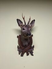Roe deer head on the carved board, Taxidermy, Throphies picture