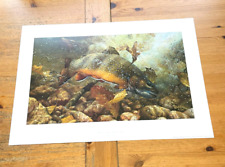 PLUNGE POOL-BROOK TROUT - LIMITED EDITION PRINT by MARK SUSINNO - WILD WINGS picture