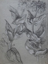 Louis Dupuis (1862-1951) (222) - charcoal - flowers picture