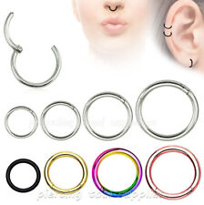 Hinged Seamless Segment Ring Surgical Steel Nose Hoop Earring Labret Septum Ring picture