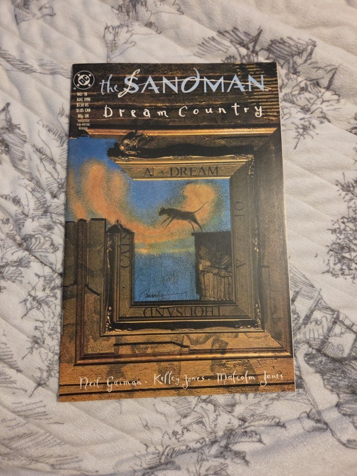 SANDMAN #18 DREAM COUNTRY DC COMICS 1990 GAIMAN Cat on Cover Vertigo