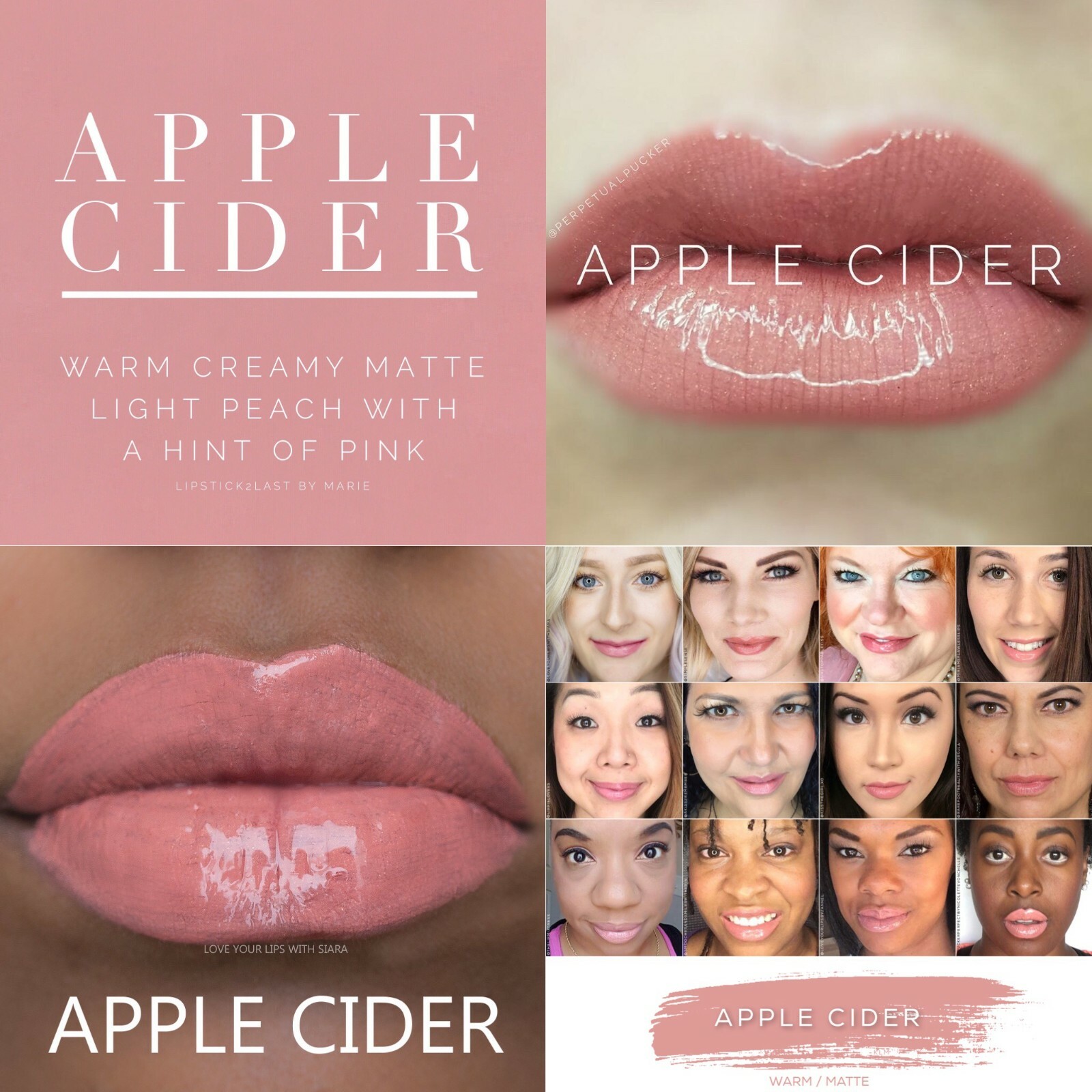 Authentic LipSense full size long lasting lip color $2 SHIP