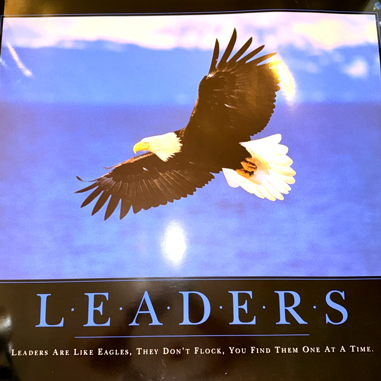 Vintage 1993 Successories LEADERS Eagle Motivational Poster 24x30 NOS Tube