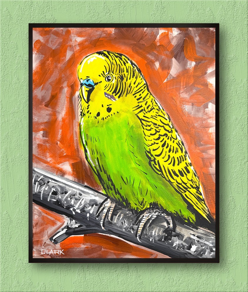 Original Budgerigar Parakeet Bird Acrylic Painting - 20x16\