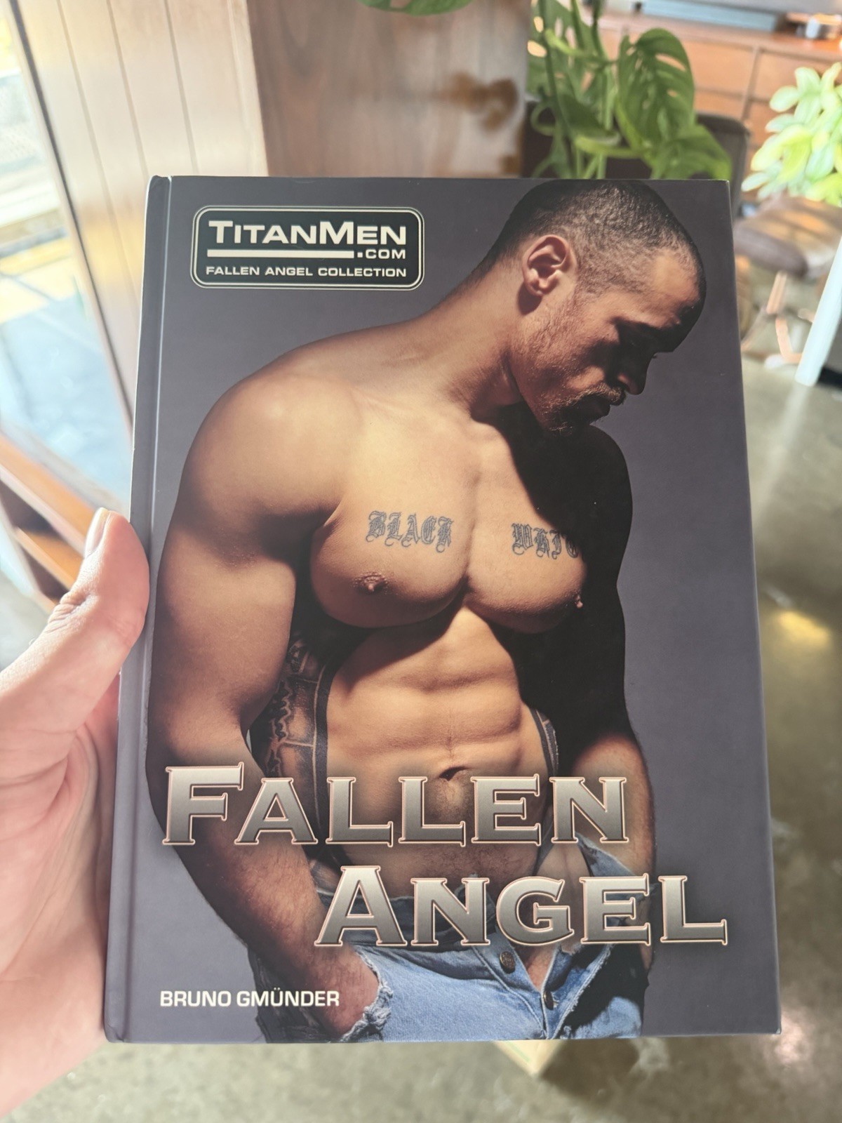 TITAN MEN  FALLEN ANGEL COLLECTION  HARDCOVER  BRUNO GMUNDER  2002