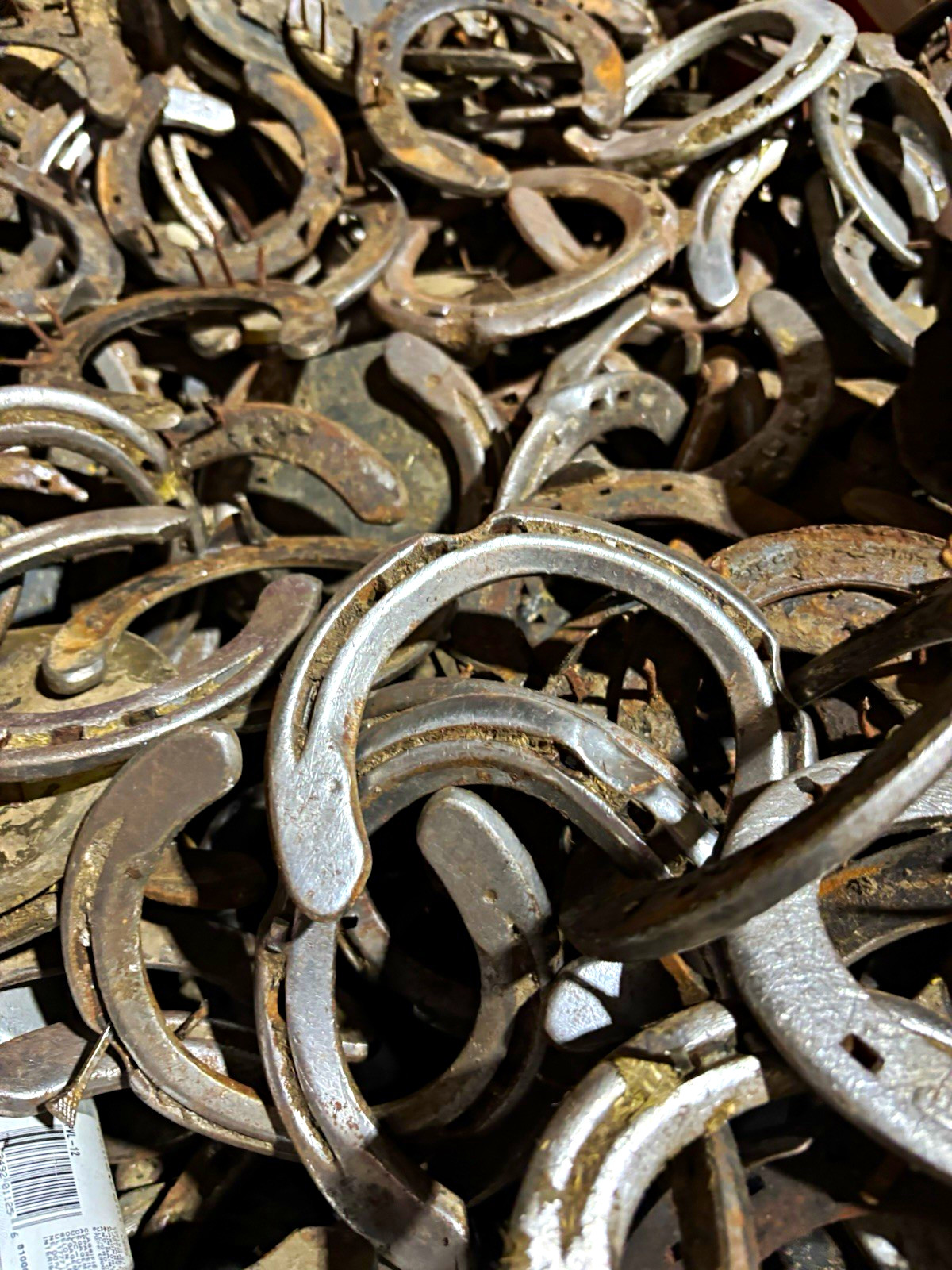 Lot of 24 Used Metal Horseshoes, Mixed Sizes, 