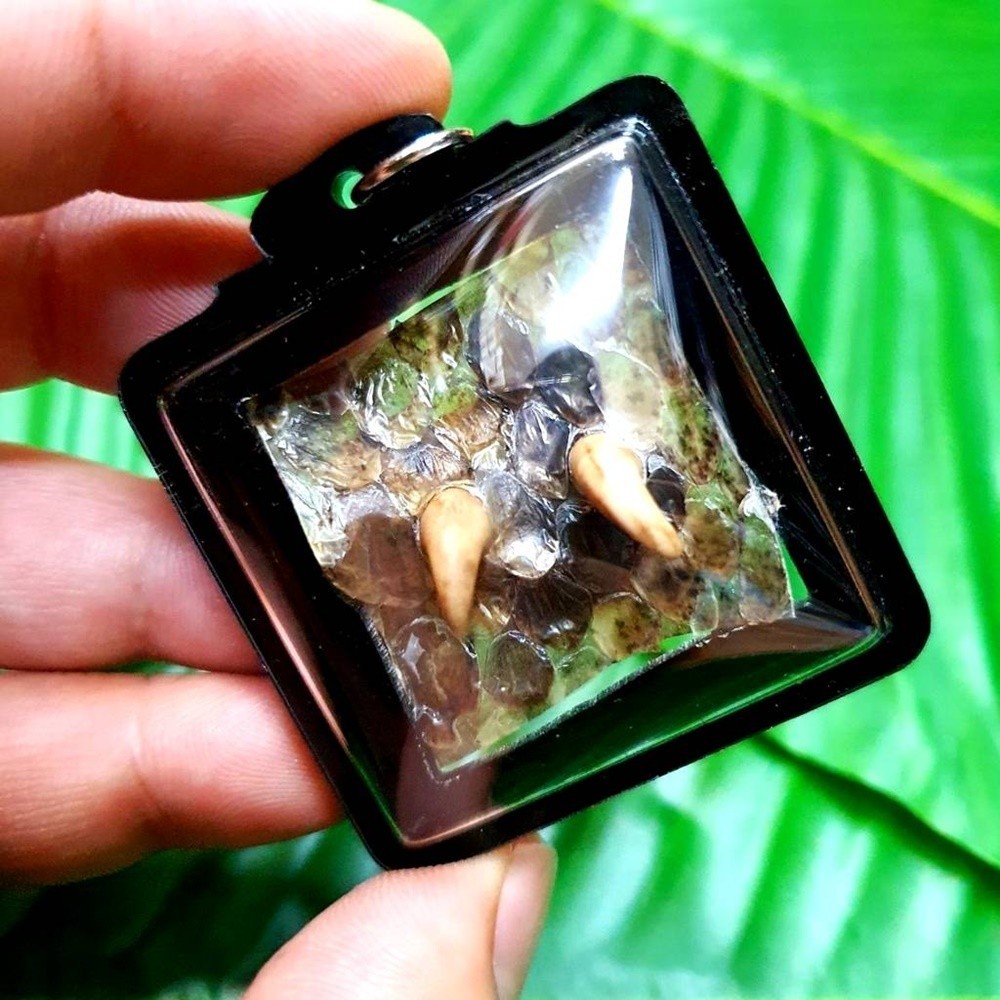 Amulet Thai Magic boas Talisman Wealth Pendant Fortune Lucky