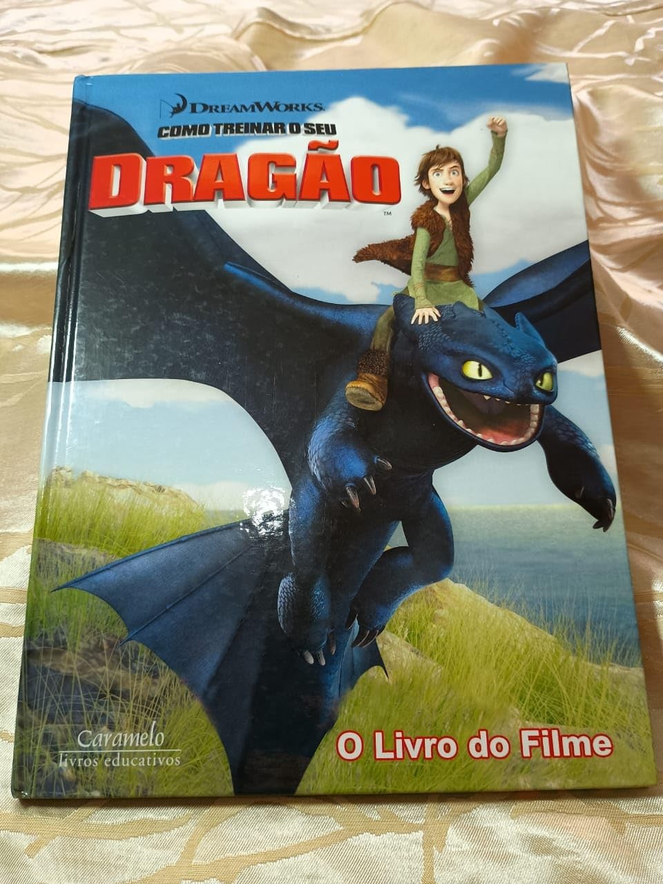 Como Treinar O Seu Dragão. Livro Do Filme